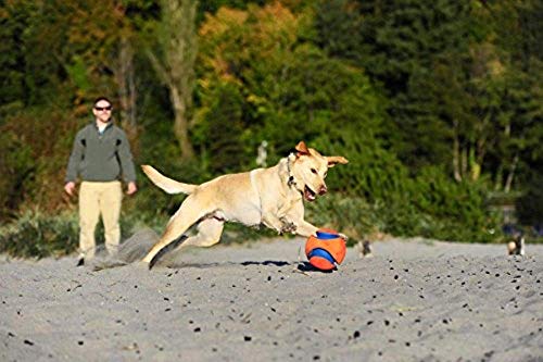 Chuckit! Kick Fetch Toy Ball for Dogs