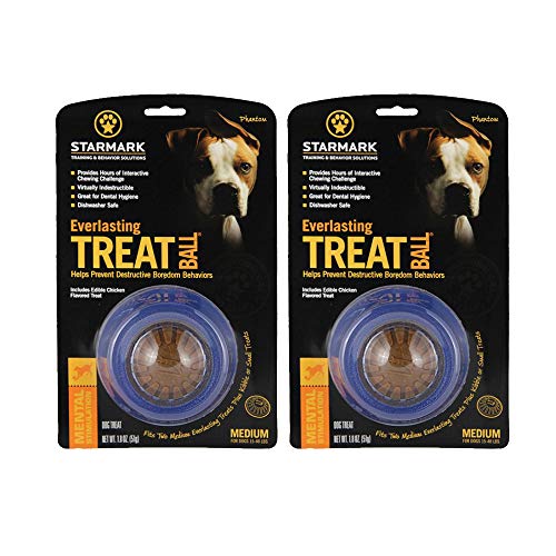 StarMark Everlasting Treat Ball, Medium - 2 Pack