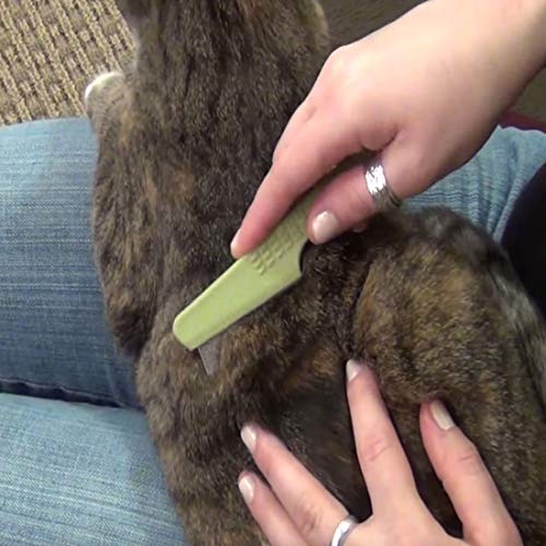Safari Pet Products Flea Comb for Cats, Flea and Tick Prevention for Cats, Cat Flea Treatment, Flea Prevention