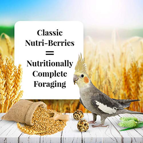 LAFEBER'S Classic Nutri-Berries Pet Bird Food, Made with Non-GMO and Human-Grade Ingredients, for Cockatiels, 4 lbs