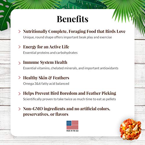 LAFEBER'S Tropical Fruit Nutri-Berries Pet Bird Food, Made with Non-GMO and Human-Grade Ingredients, for Cockatiels Conures Parakeets (Budgies) Lovebirds, 10 oz