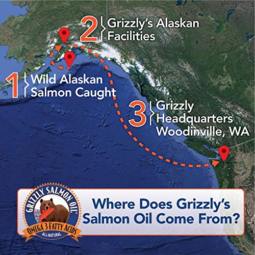 Grizzly Wild Alaskan Salmon Oil Dog Food Supplement Omega 3 Fatty Acids, 8 oz