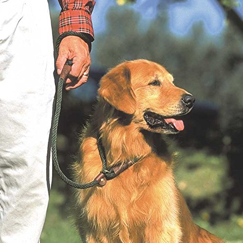 Mendota Pet Dog Slip Lead, 3/8" x 4', Orange