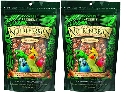 Lafeber's Gourmet Tropical Fruit Nutri-Berries Parakeet, Cockatiel & Conure Food 10 oz (2 Pack)