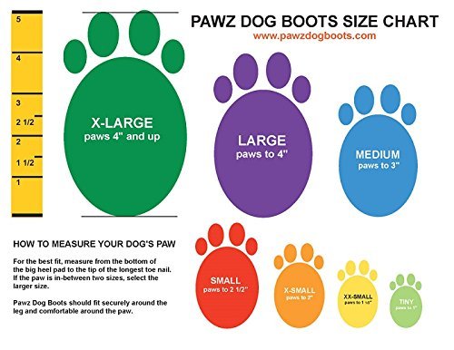 Pawz 1.5-Inch to 2-Inch Water-Proof Dog Boots, X-Small, Black
