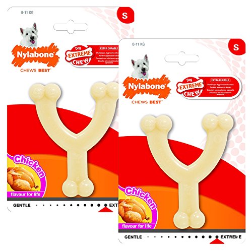 Nylabone Dura Chew Regular Original Flavored Wishbone Dog Chew Toy (2 Pack)