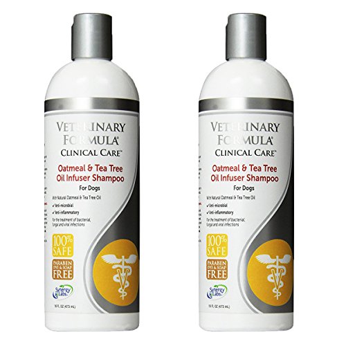 SynergyLabs Veterinary Formula Clinical Care Oatmeal & Tea Tree Oil Infuser Shampoo for Dogs; 16 fl. oz.