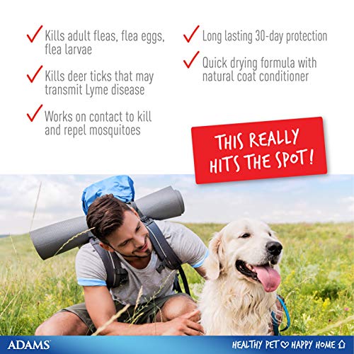 Adams Plus Flea and Tick Spot On for Dogs, Large Dog Flea Treatment, 31-60 Pounds, 3 Month Supply