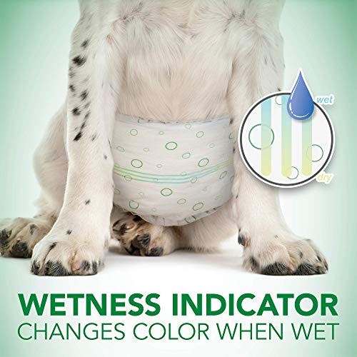 Vet's Best Comfort Fit Disposable Male Dog Diapers | Absorbent Male Wraps with Leak Proof Fit