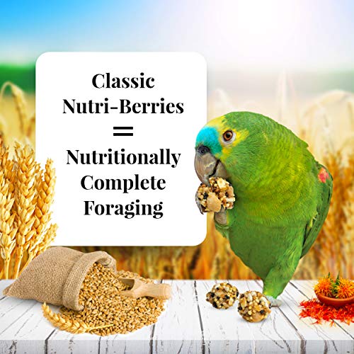 LAFEBER'S Classic Nutri-Berries Pet Bird Food, Made with Non-GMO and Human-Grade Ingredients, for Parrots, 3.25 lbs