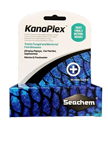 Seachem 3 Piece Treatment Kit, 1-Focus, 1-Metroplex, and 1-Kanaplex (5 Grams Each)