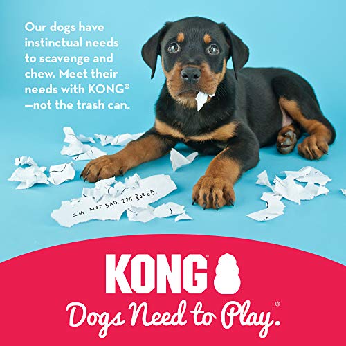 KONG - Puppy Toy - Natural Teething Rubber - Fun to Chew, Chase and Fetch ( Colors May Vary)