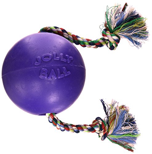 Jolly Pets Romp and Roll Ball, Purple (6 in.)