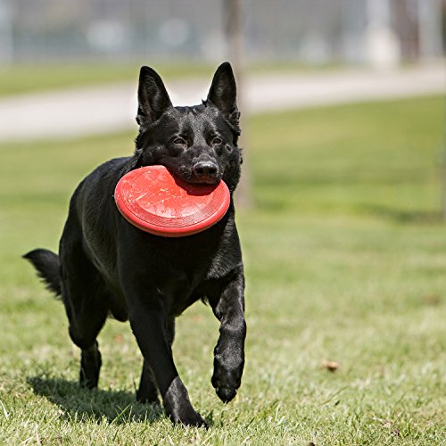 KONG - Flyer - Durable Rubber Flying Disc Dog Toy - For Small Dogs