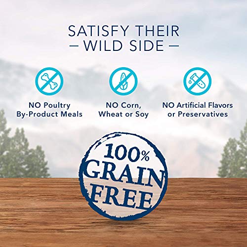 Blue Buffalo Wilderness Rocky Mountain Recipe High Protein Grain Free Crunchy Dog Treats Biscuits, Red Meat 8-oz bag