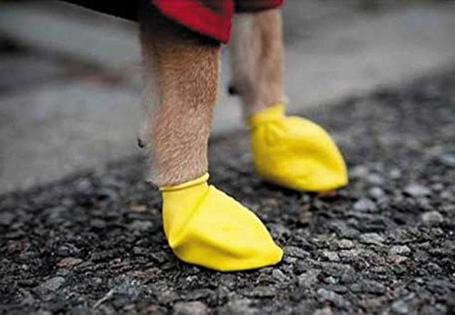 Pawz Yellow Water-Proof Dog Boot, XX-Small, Up to 1-1/2-Inch