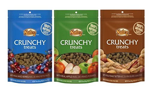 Nutro crunchy hotsell treats apple