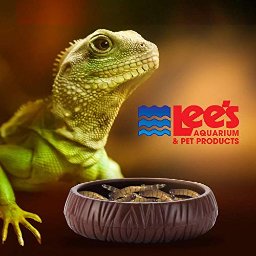 Lee's Pet Products SLE20165 Plastic Pet Mealworm Dish, 3-Inch