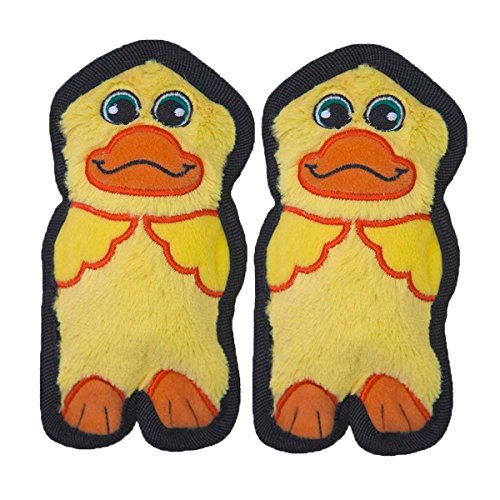 Outward Hound Invincible Mini Duck Dog Toy, 2 Pack