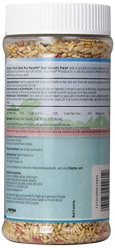 Kaytee Forti-Diet Pro Health Oat Groats Bird Treat, 22 oz