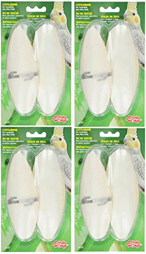Living World Cuttlebone for Cockatiels, Size-Large (4 Packages each Containing 2 Cuttlebones / 8 Total)
