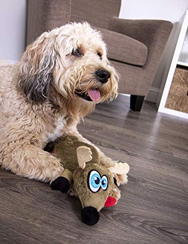 Hear Doggy Flattie Ultrasonic Sqeaker Dog Toys