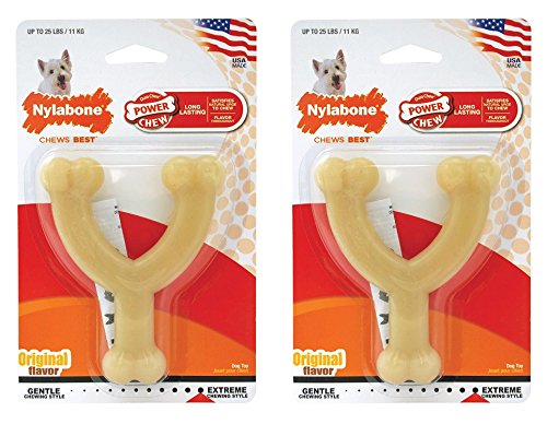 Nylabone Dura Chew Regular Original Flavored Wishbone Dog Chew Toy (Pack of 2)