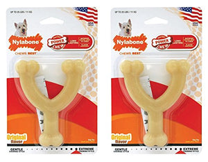 Nylabone Dura Chew Regular Original Flavored Wishbone Dog Chew Toy (Pack of 2)