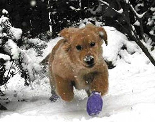 Pawz Purple Water-Proof Dog Boots, Large, Paws 3" to 4"(12 Disposable-reusable Boots)