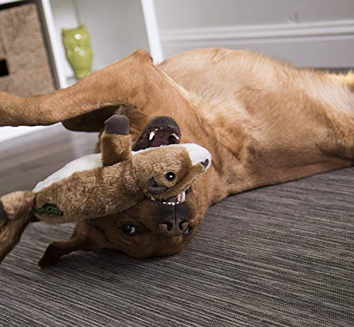 goDog Flatz Dog Toy with Chew Guard