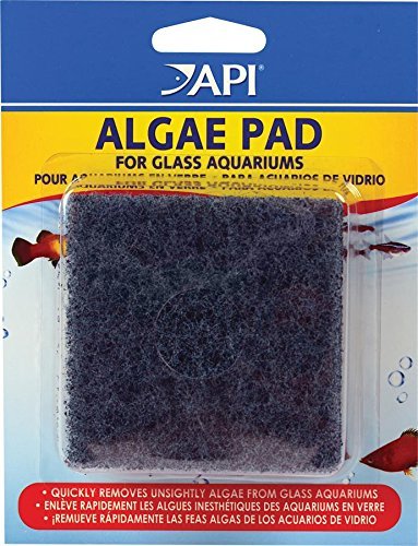 API HAND HELD ALGAE PAD For Glass Aquariums 2-Count Container