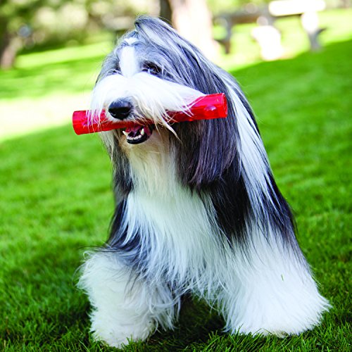 KONG Squeezz Ball Dog Toy, X-Large, Colors Vary