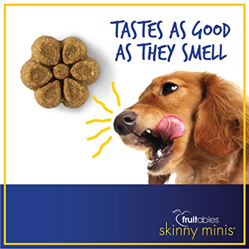 Fruitables Skinny Minis Pumpkin & Berry Low Calorie Soft & Chewy Dog Treats, Pack of 6