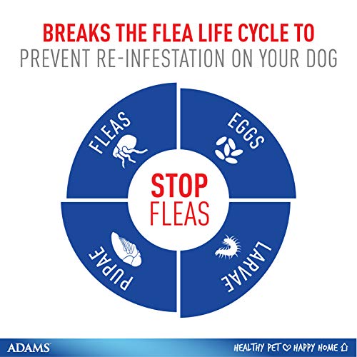 Adams Plus Flea and Tick Spot On for Dogs, Medium Dog Flea Treatment, 15-30 Pounds, 3 Month Supply