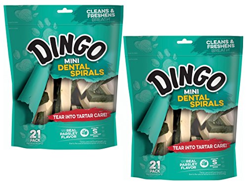 Dingo DN-99158 Dental Spirals for Pets, 42-Pack