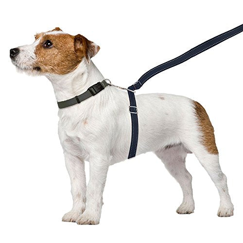 ThunderLeash No-Pull Dog Leash (Large (Over 25 lbs), Black)
