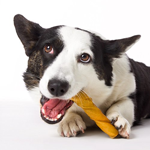 Hartz Oinkies Natural Smoked Pig Skin Twist Peanut Butter Stuffed Dog Treat Chews - 5 Pack