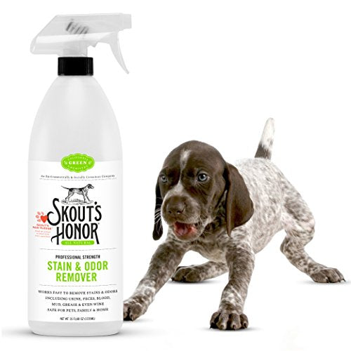 SkoutÂs Honor Professional Strength Stain & Odor Remover