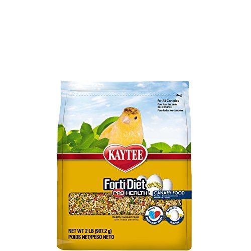 Kaytee Forti Diet Egg-Cite Bird Food for Canaries, 2-Pound Bag