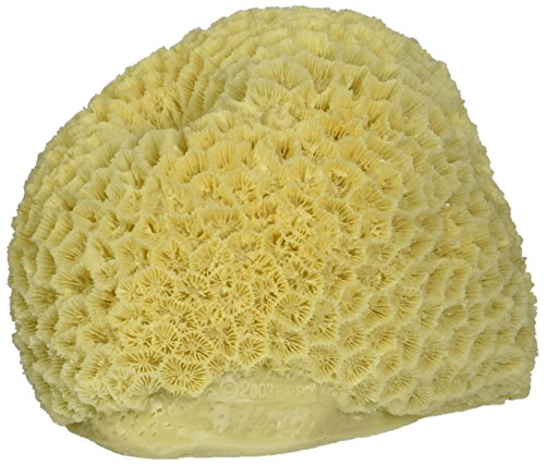 Deep Blue Professional ADB80030 Brain Coral for Aquarium, 3.5 by 4 by 3-Inch