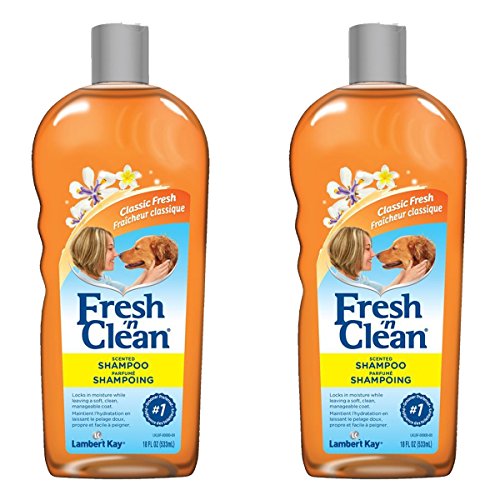 Fresh 'n Clean Scented Shampoo, Classic Fresh Scent
