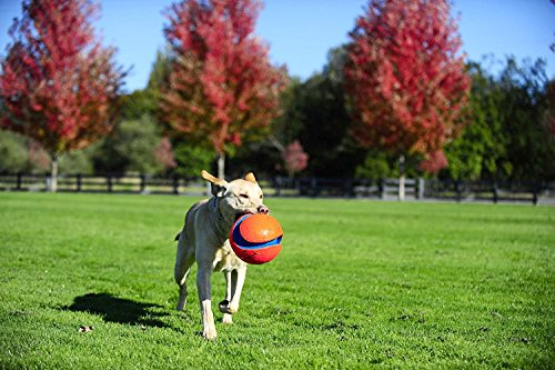 Chuckit Kick Fetch Toy Ball for Dogs, Large (2 Pack)