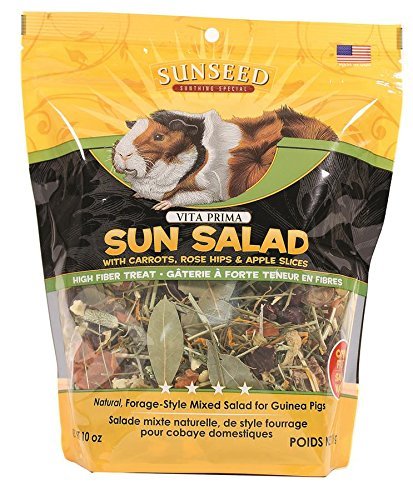 Vitakraft Vita Prima Sun Salad Treat for Guinea Pigs, 20 oz