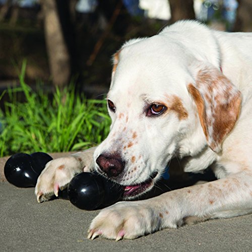 KONG - Extreme Goodie Bone - Durable Rubber Dog Bone for Power Chewers, Black - For Medium Dogs