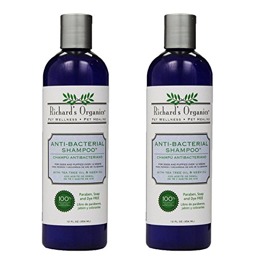 SynergyLabs Richard's Organics Anti-Bacterial Shampoo with Tea Tree Oil and Neem Oil, 24 fl. oz.