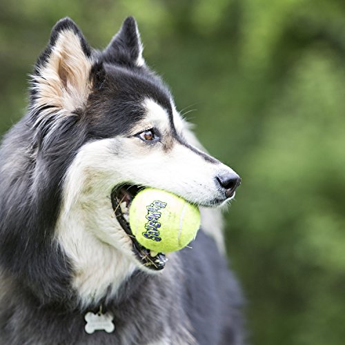 KONG Air Dog Squeakair Dog Toy Tennis Balls, Medium, 3-Pack