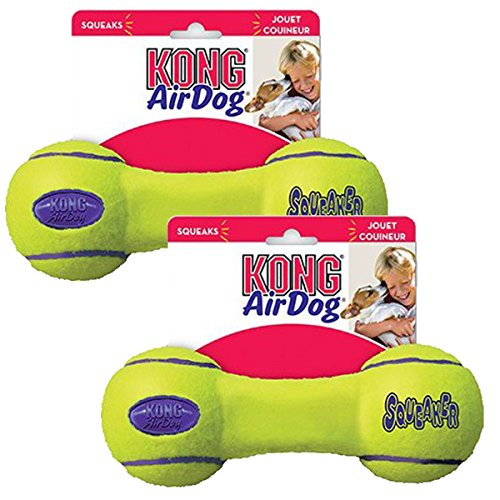 KONG Air Dog Squeaker Dog Toy