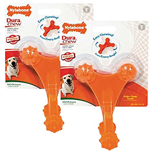 Nylabone Dura Chew Axis Bone Dog Chew Toy (2 Pack)