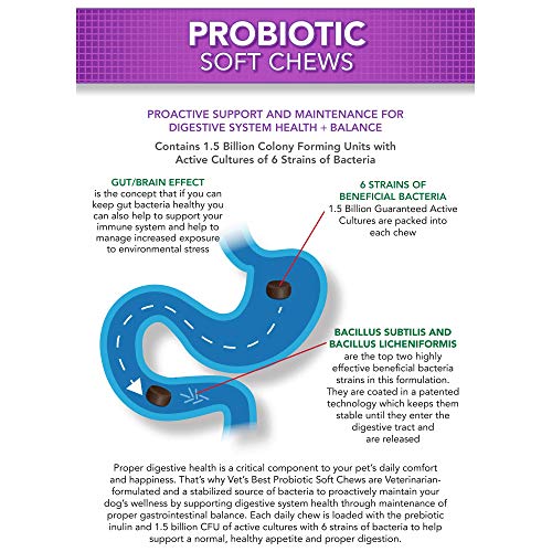Vet's Best Probiotic Soft Chews Dog Supplements | Supports Dog Digestive Health | Promotes a Healthy Gut | 30 Day Supply
