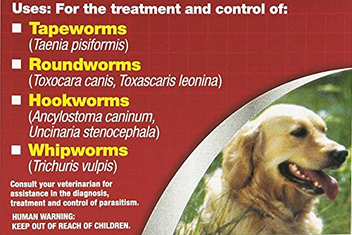 Excel Safe-Guard 4, Canine Dewormer for Dogs, 3-Day Treatment